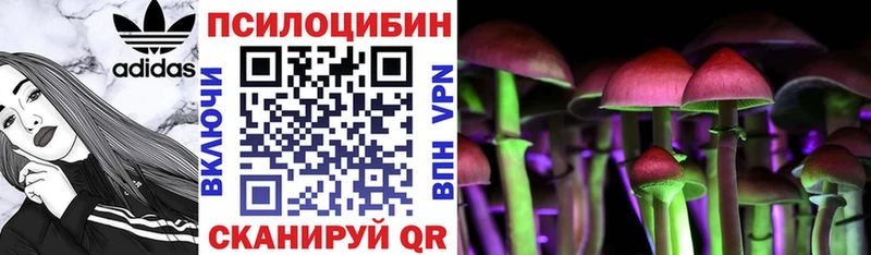 Галлюциногенные грибы Psilocybe  Белоярский 